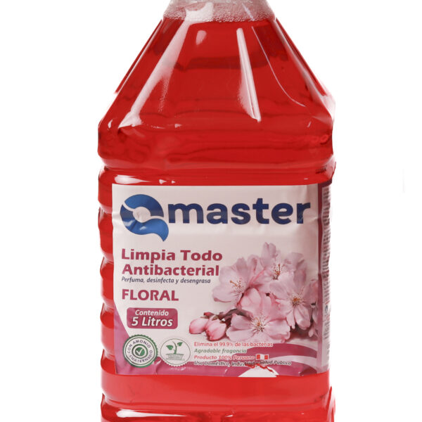 Limpia Todo Floral 5 L.